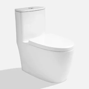 Harrington One Piece Commode 010024 – Glossy White Rimless Tornado Flush