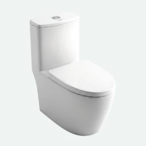010024 Harrington One Piece Commode