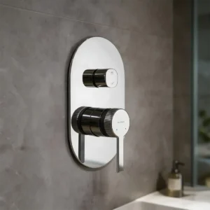 SM-06-F2 Harrington Shower Mixer